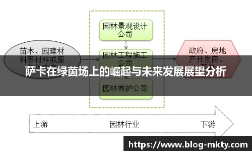 mk体育官网