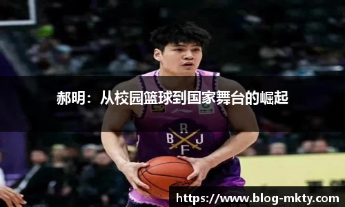 mk体育官网